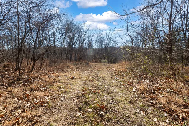 $1,852,500 | 0 Wilderness Retreat Road, Jonesboro, IL 62952