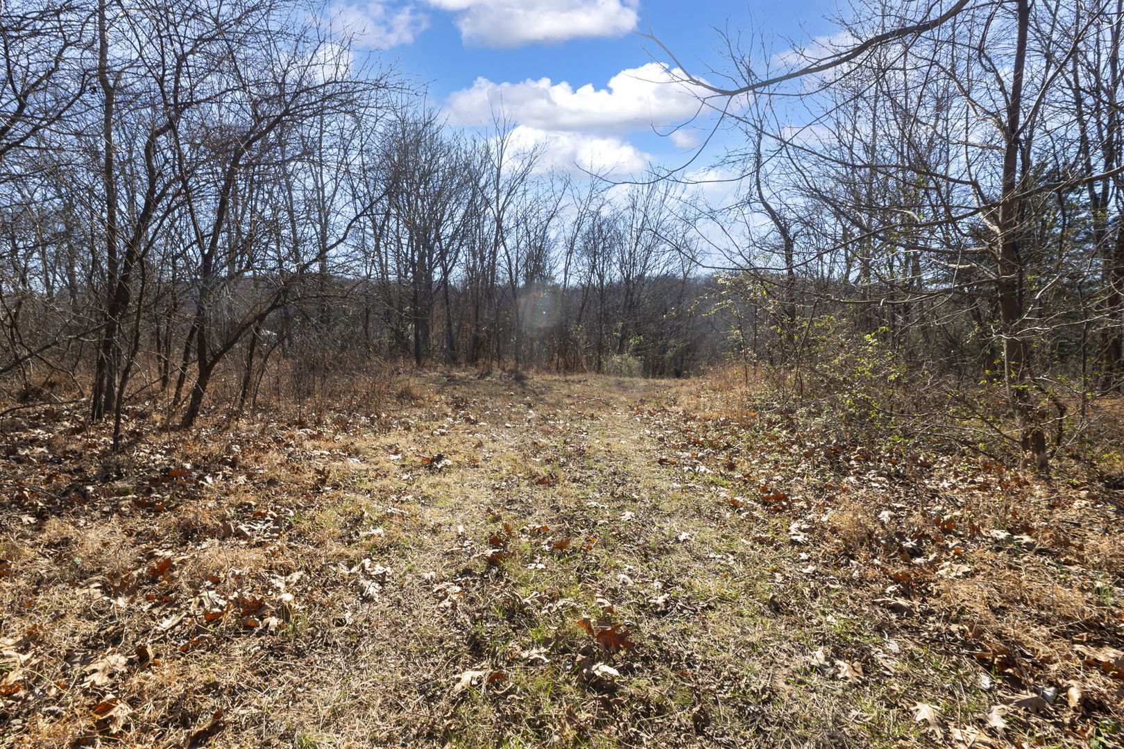 0 Wilderness Retreat Road Jonesboro, IL 62952 - Photo 72 of 89
