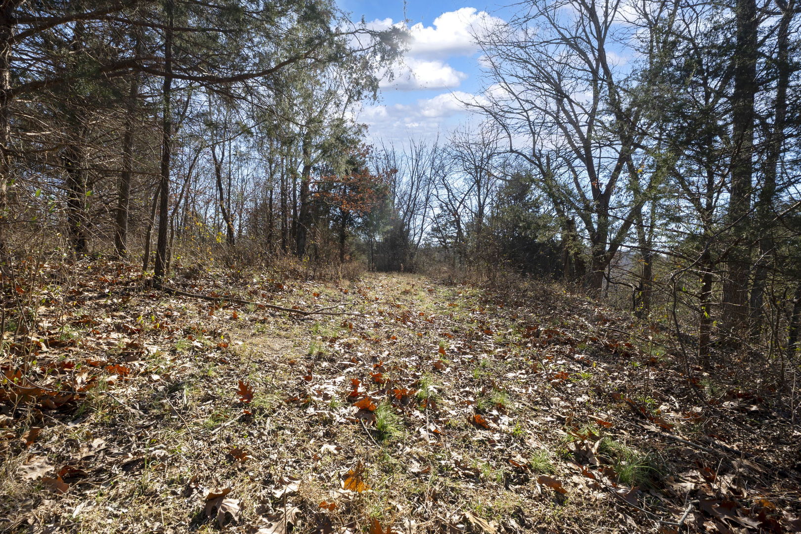 0 Wilderness Retreat Road Jonesboro, IL 62952 - Photo 73 of 89