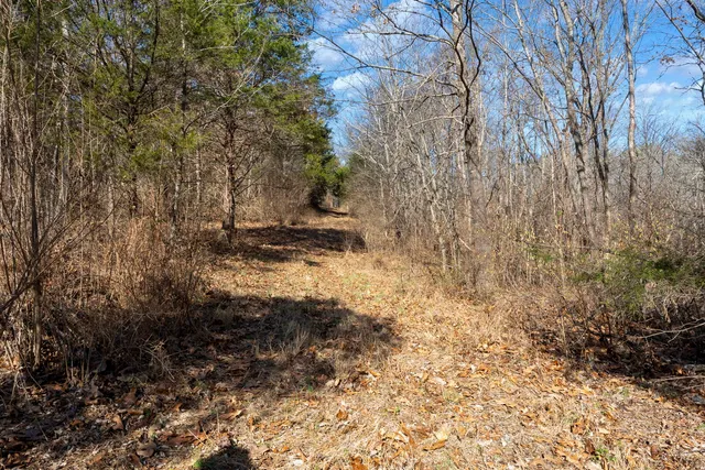 $1,852,500 | 0 Wilderness Retreat Road, Jonesboro, IL 62952