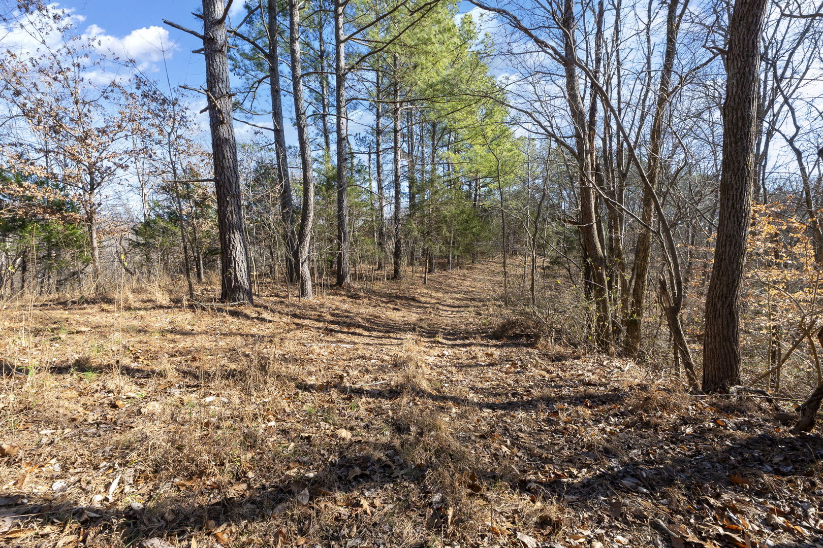 0 Wilderness Retreat Road Jonesboro, IL 62952 - Photo 77 of 89