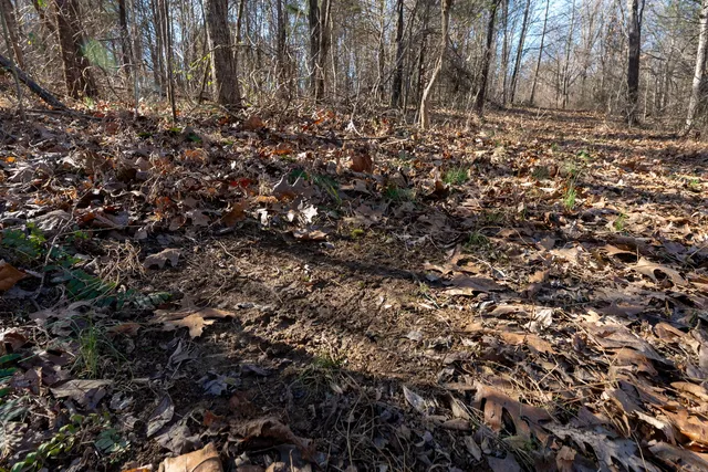 $1,852,500 | 0 Wilderness Retreat Road, Jonesboro, IL 62952