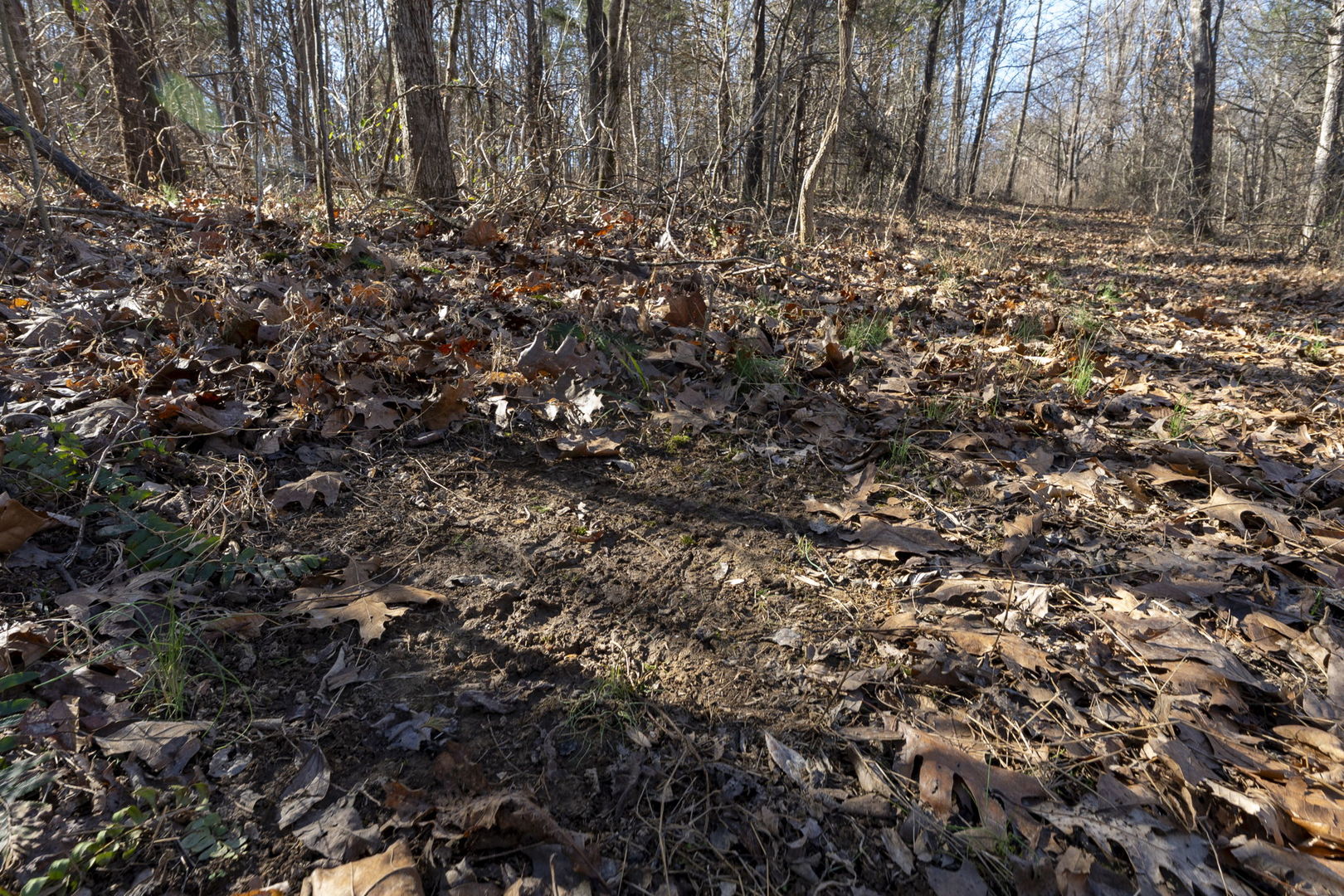 0 Wilderness Retreat Road Jonesboro, IL 62952 - Photo 78 of 89