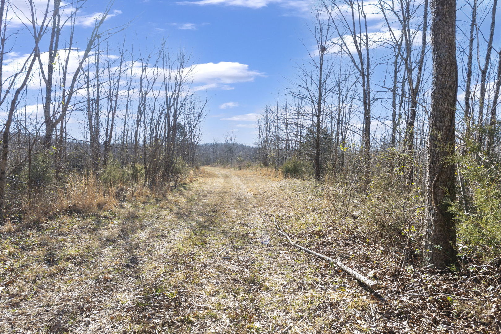 0 Wilderness Retreat Road Jonesboro, IL 62952 - Photo 79 of 89