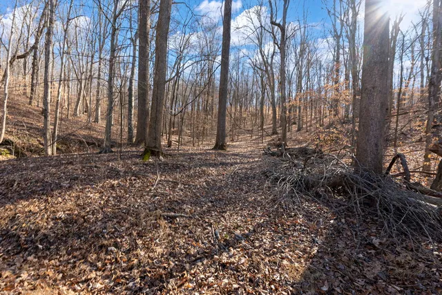 $1,852,500 | 0 Wilderness Retreat Road, Jonesboro, IL 62952