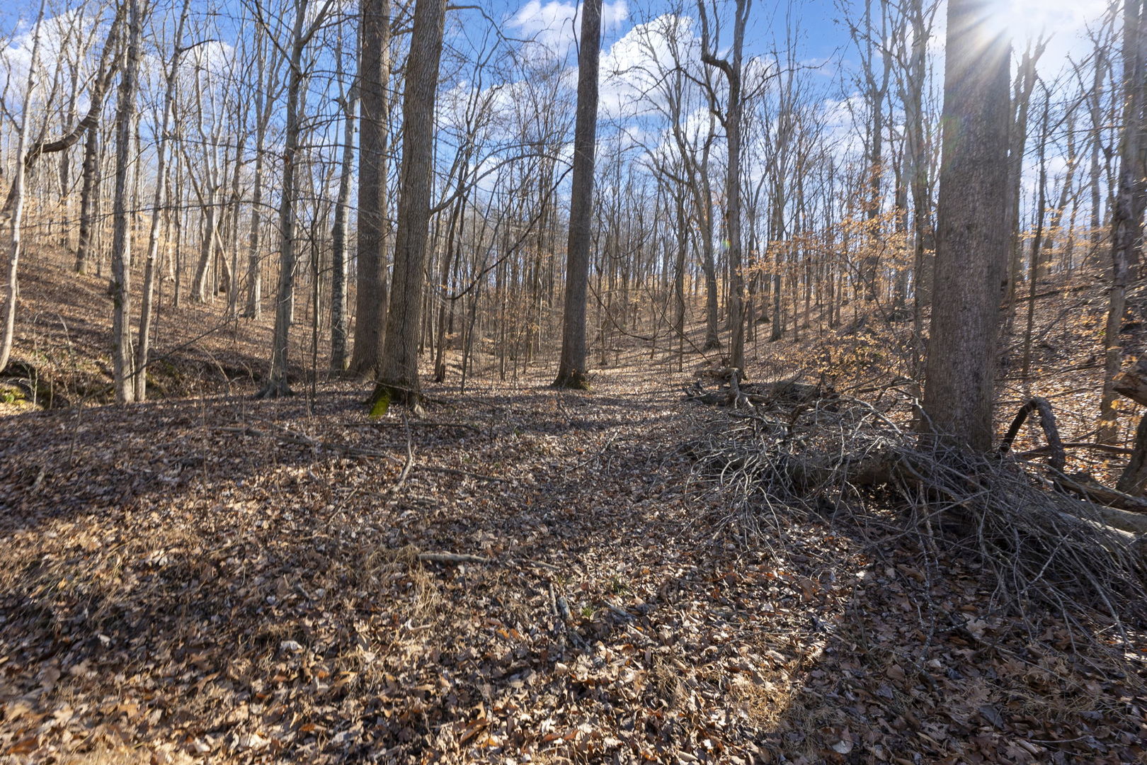 0 Wilderness Retreat Road Jonesboro, IL 62952 - Photo 80 of 89