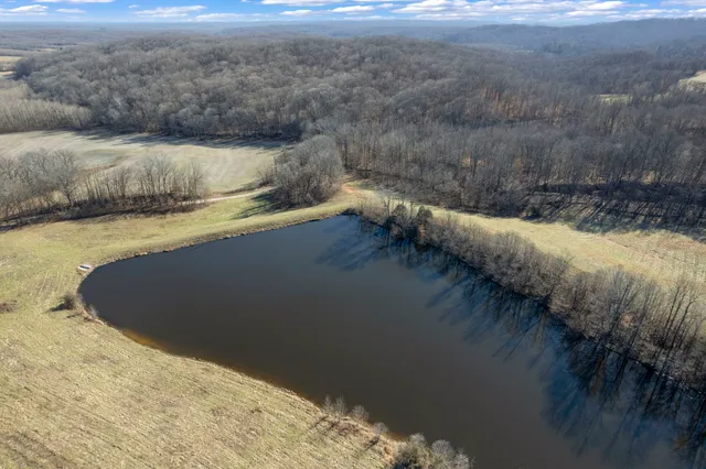 a view of a dry yard