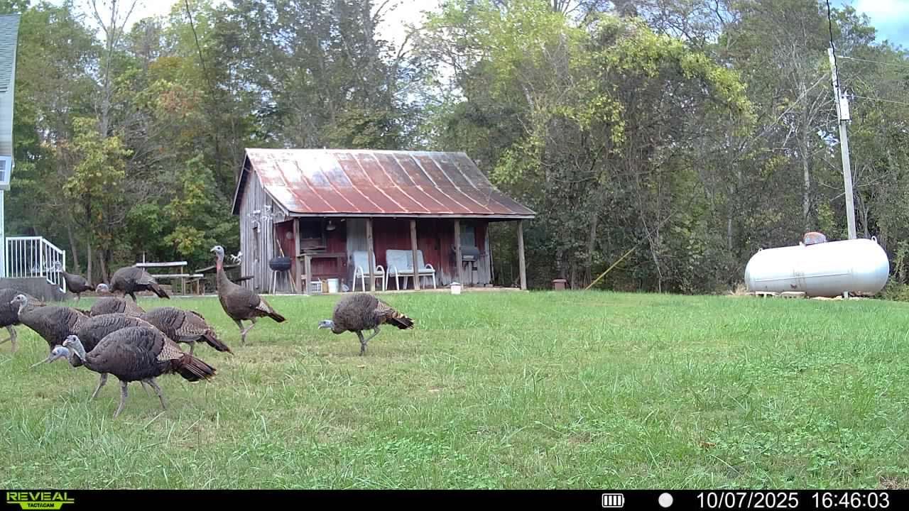 0 Wilderness Retreat Road Jonesboro, IL 62952 - Photo 82 of 89