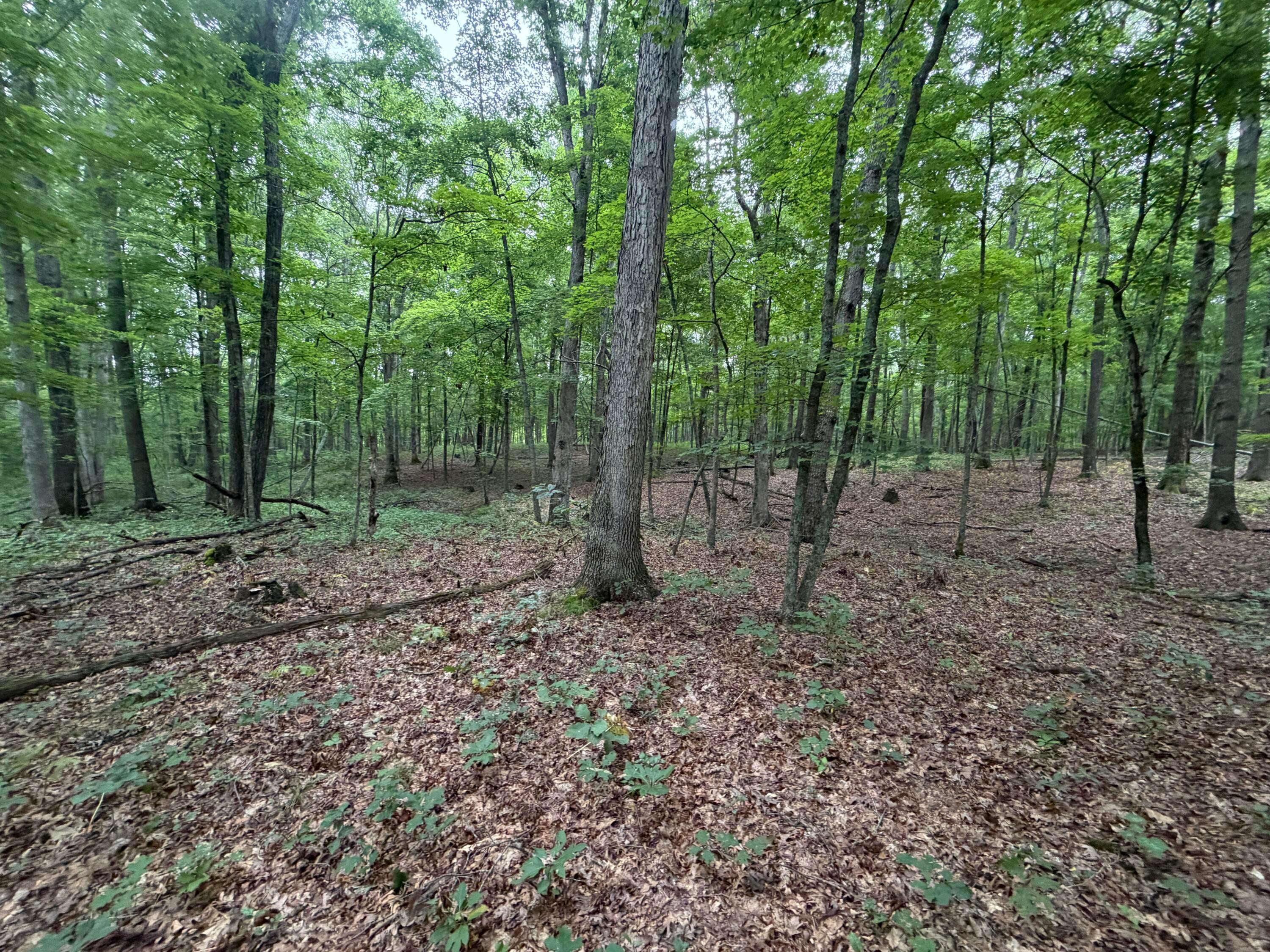 17883 State Rte 41 West Union, OH 45693 - Photo 29 of 60 27