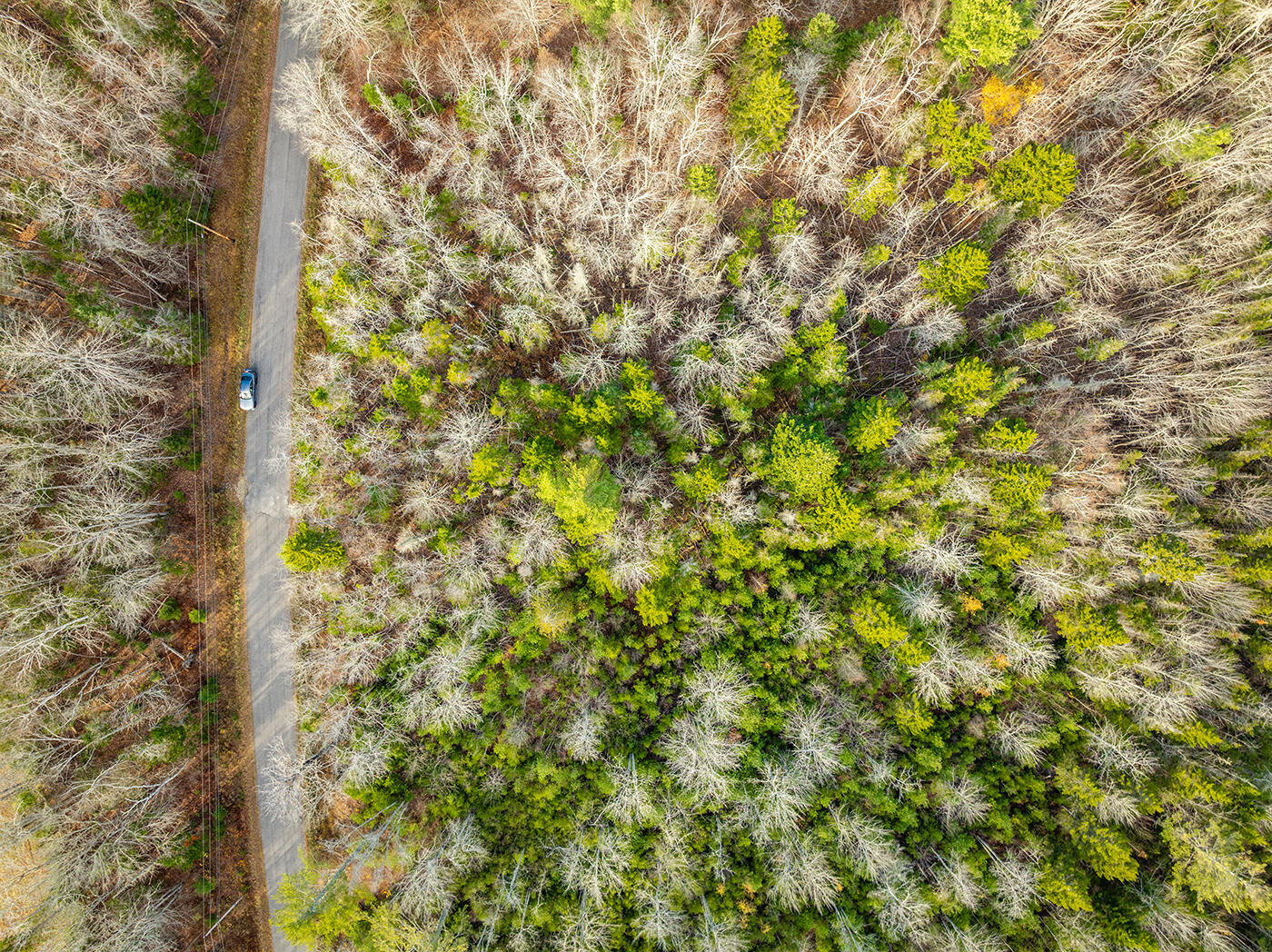 DJI_0246