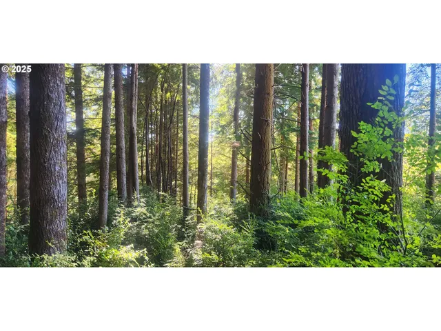 a black and white photo of a house