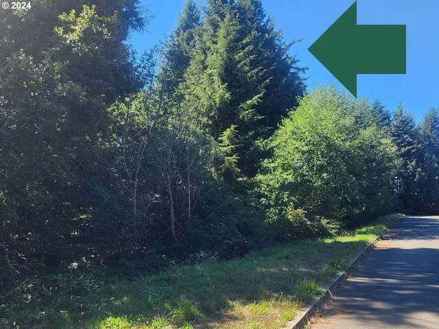 a black and white photo of a lake