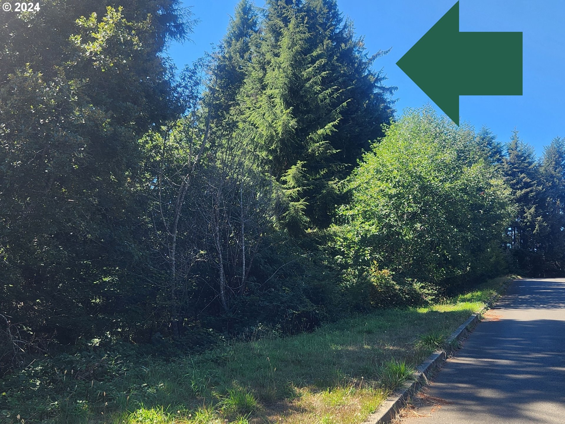 800 Masters Court Reedsport, OR 97467 - Photo 2 of 13
