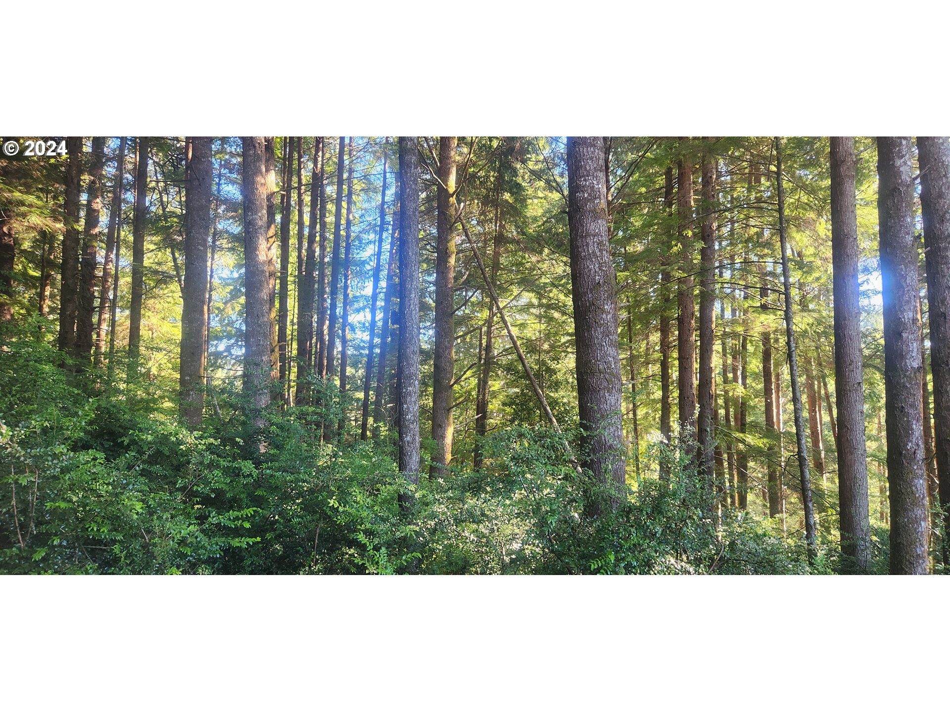 800 Masters Court Reedsport, OR 97467 - Photo 6 of 13 a view of an outdoor space and a lake view