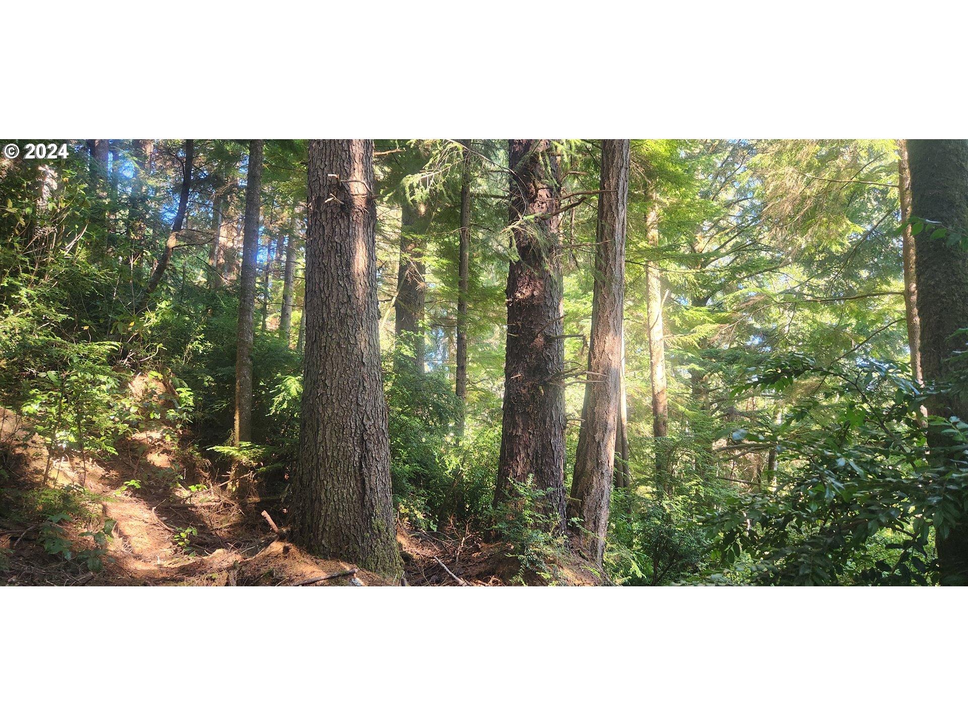 800 Masters Court Reedsport, OR 97467 - Photo 8 of 13 a view of outdoor space and garden