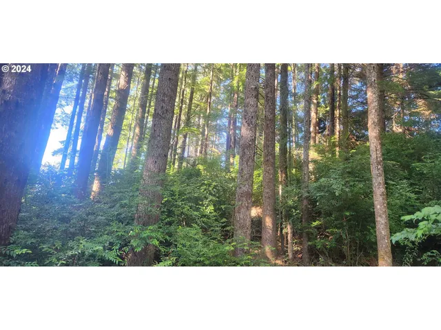 a view of an outdoor space and a yard