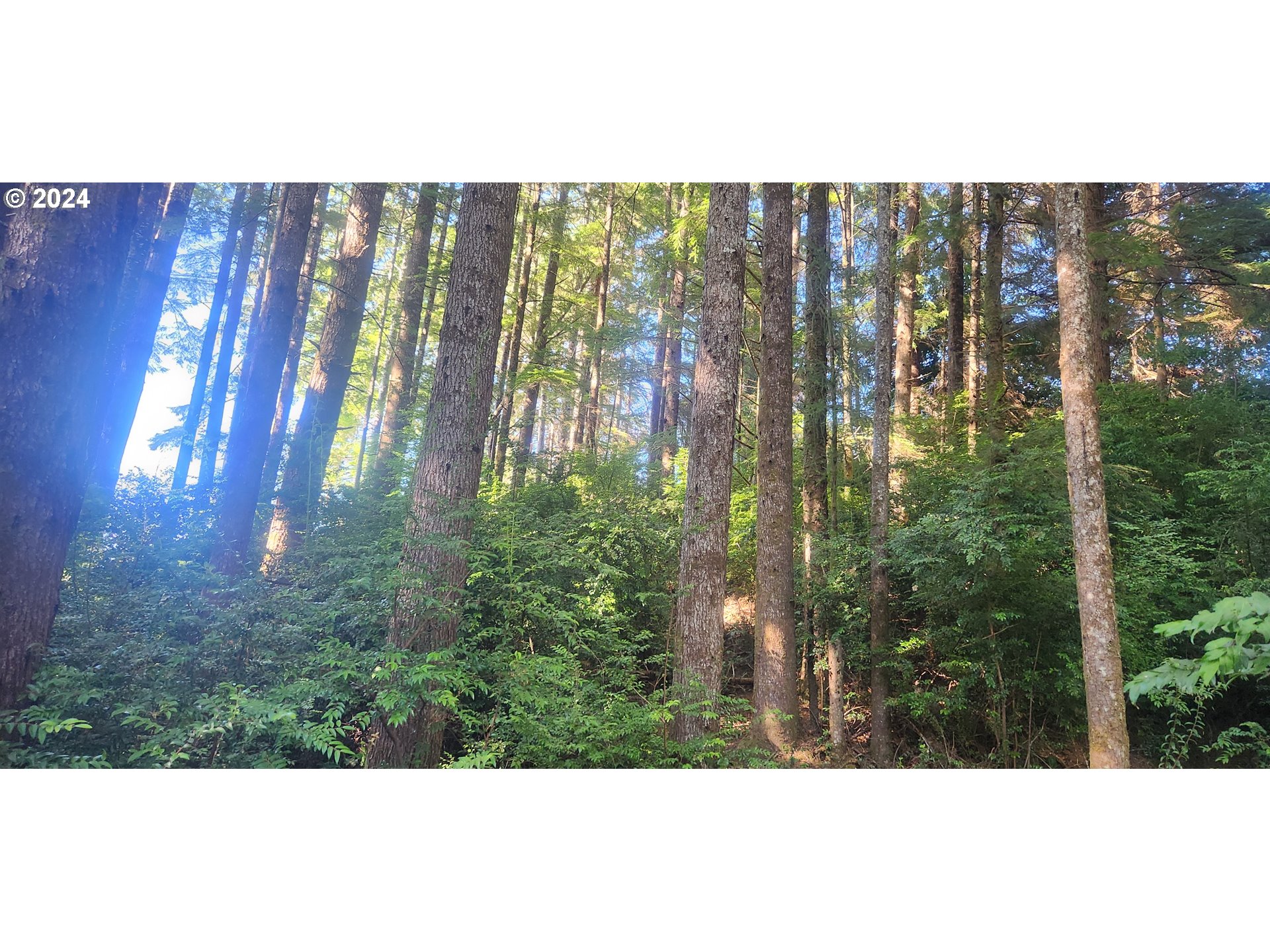 800 Masters Court Reedsport, OR 97467 - Photo 9 of 13 a view of outdoor space and yard