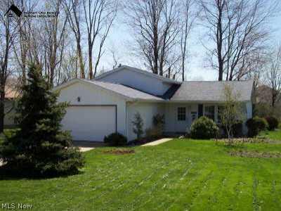 39021 Chestnut Ridge Road Elyria, OH 44035 - Photo 1 of 1 Gallery Image 1