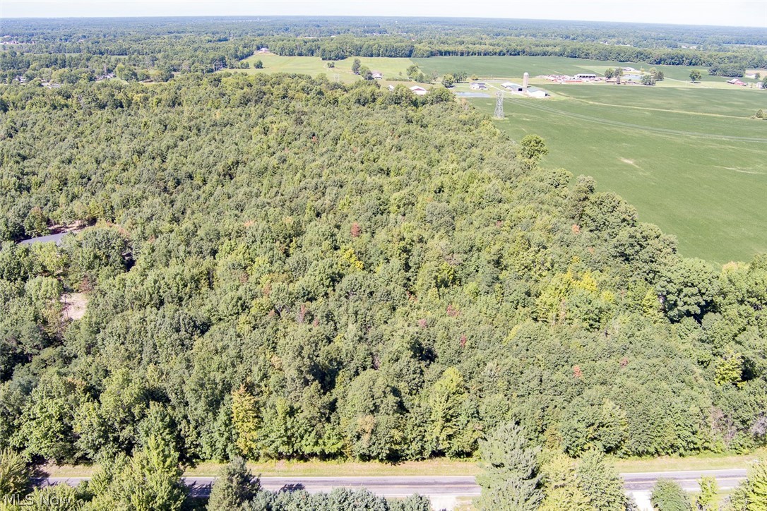 Dunham Road Litchfield, OH 44253 - Photo 10 of 16 Whether you are a nature lover, hunter, or looking for a smart land investment, this property delivers endless possibilities.