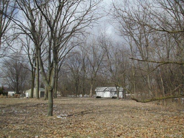48515 Callens Road New Baltimore, MI 48047 - Photo 2 of 11 2013-03-20 11.51.33.jpg