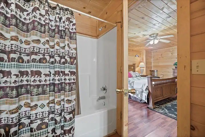 2519 Piney Road Sevierville, TN 37876 - Photo 21 of 23 Gallery Image 21
