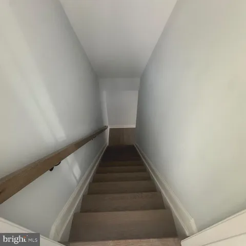 a street view with large trees