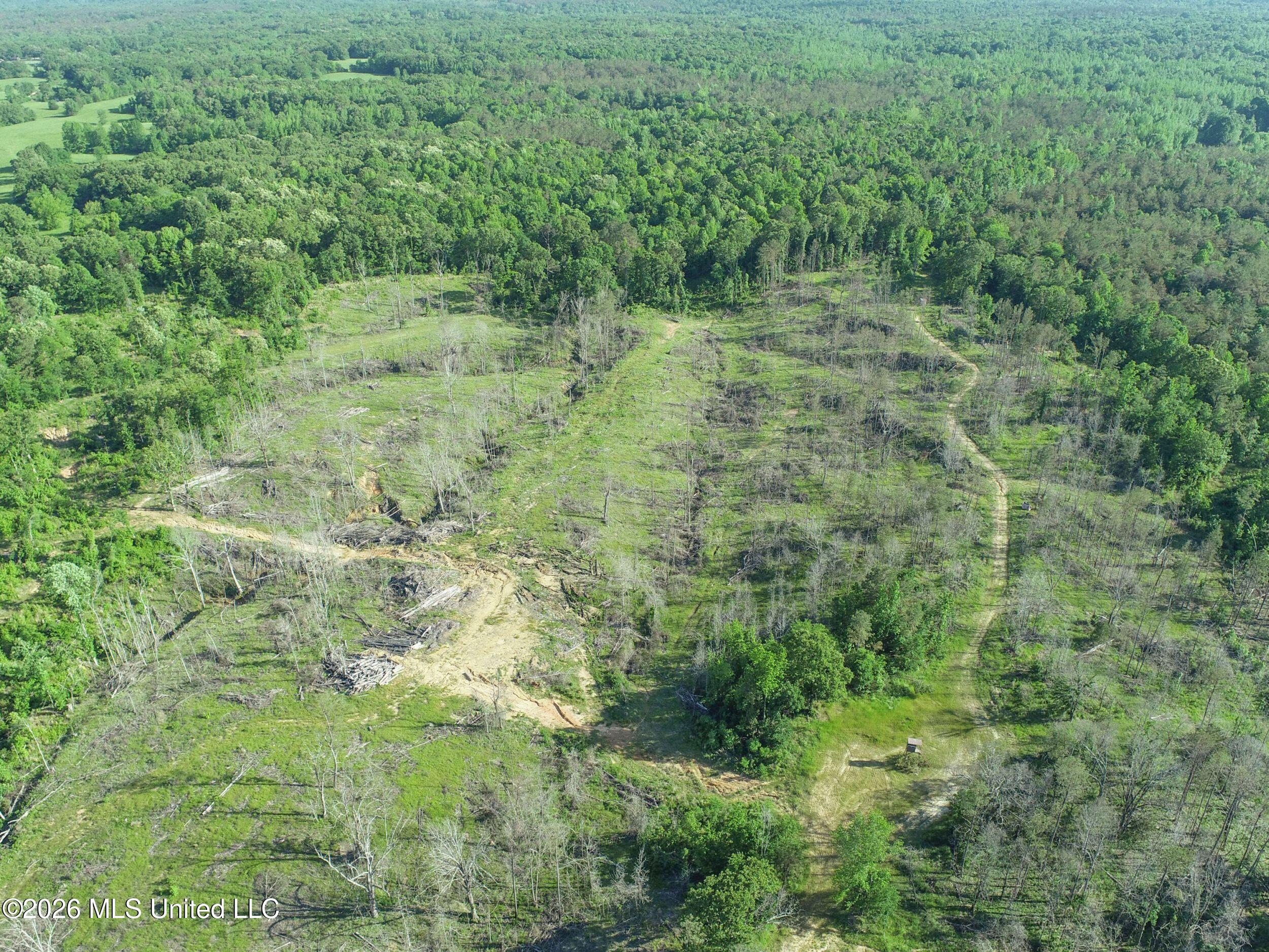 Wayne Massie Road Como, MS 38619 - Photo 34 of 184 3ctwmrd19