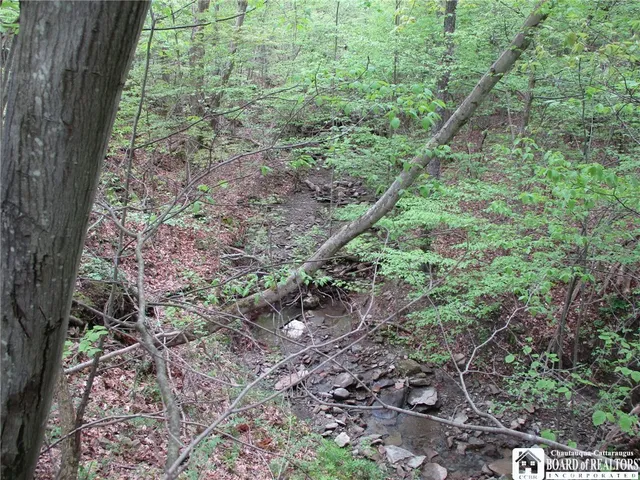 $95,000 | Kempshaw, Granger, NY 14846