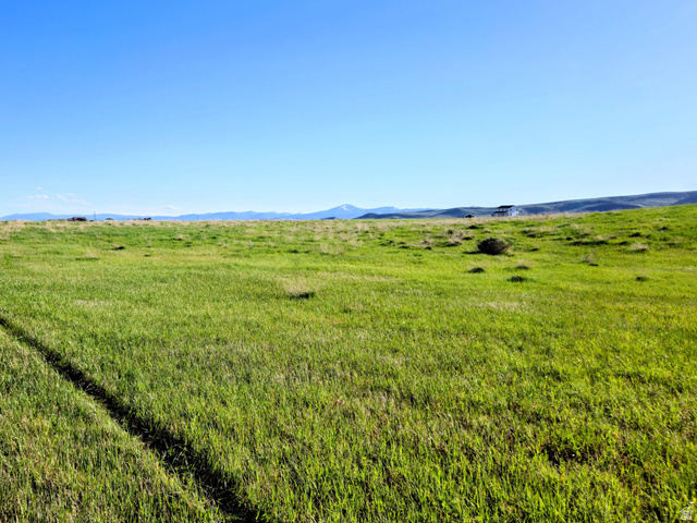 2010 Lower Bern Road, Unit 2 Bern, ID 83220 - Photo 3 of 8 Expansive green grassland with a clear sky backdrop, featuring a visible tire track path, distant hills, and a partial fence line