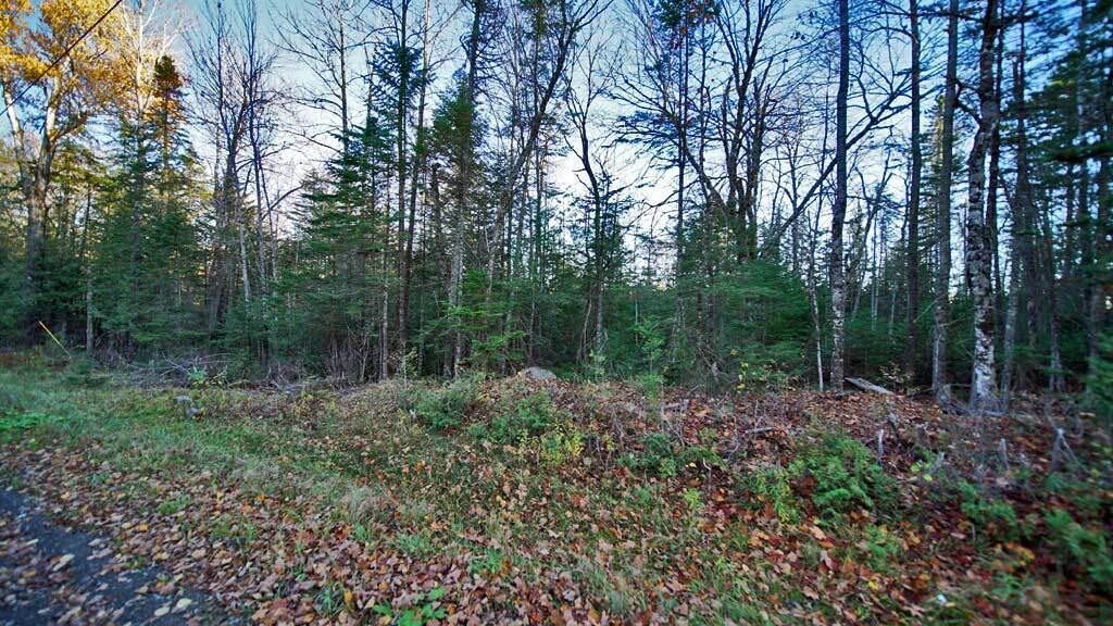 Lot 18 South Oakfield Road Houlton, ME 04730 - Photo 15 of 32 land-for-lake-home