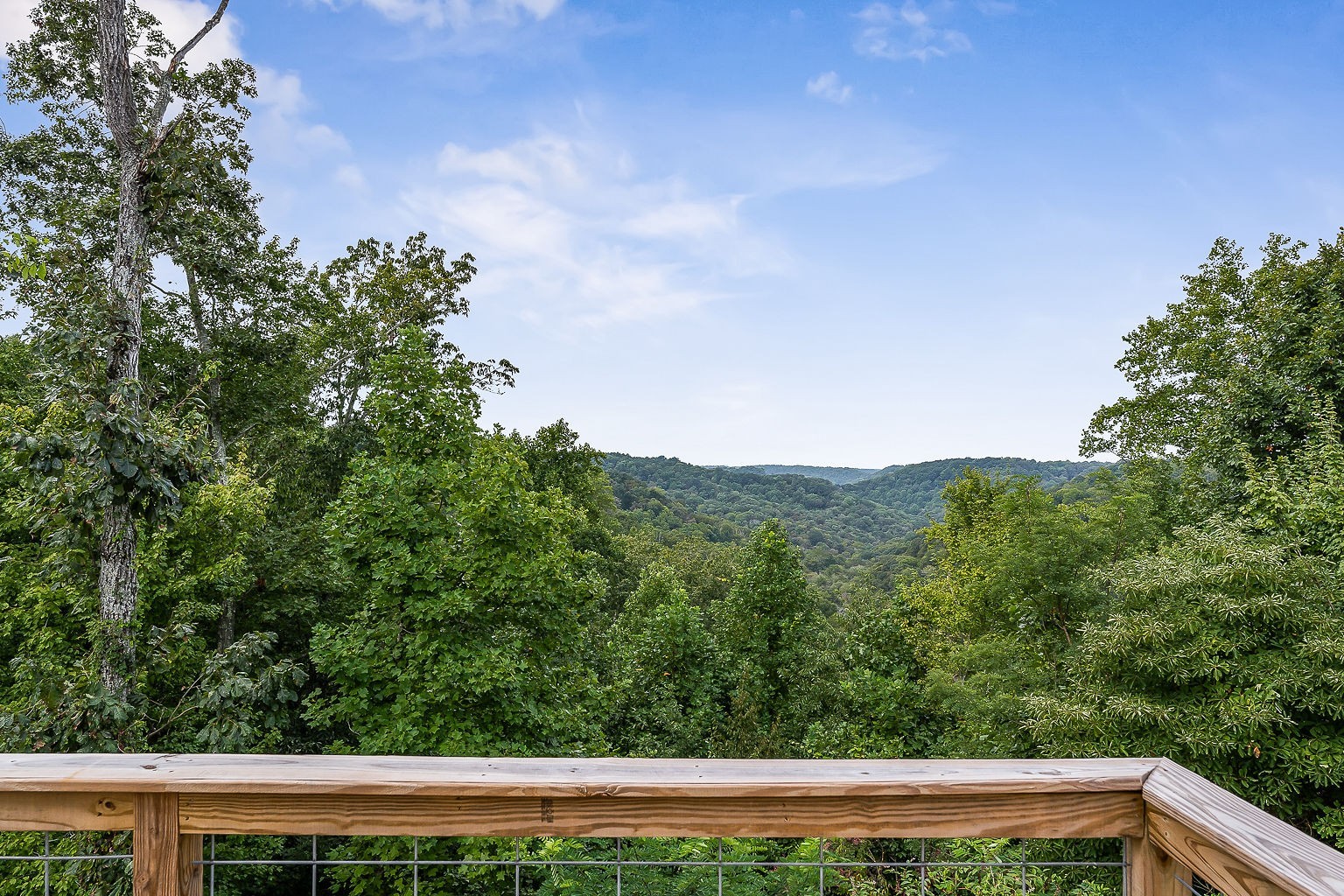 1643 Coconut Ridge Road Smithville, TN 37166 - Photo 36 of 38 Gallery Image 36