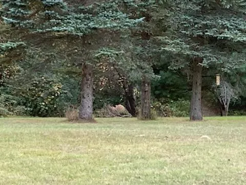 $469,900 | 14255 Myers Lake Avenue Northeast, Cedar Springs, MI 49319