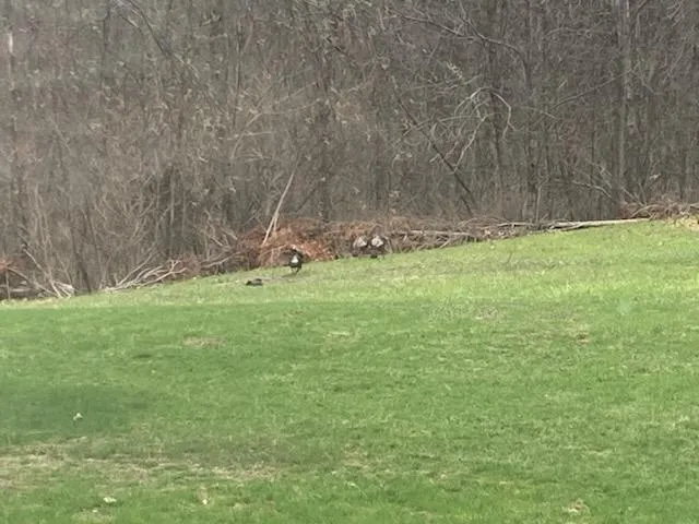 $469,900 | 14255 Myers Lake Avenue Northeast, Cedar Springs, MI 49319