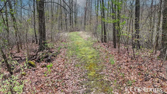 $469,900 | 14255 Myers Lake Avenue Northeast, Cedar Springs, MI 49319