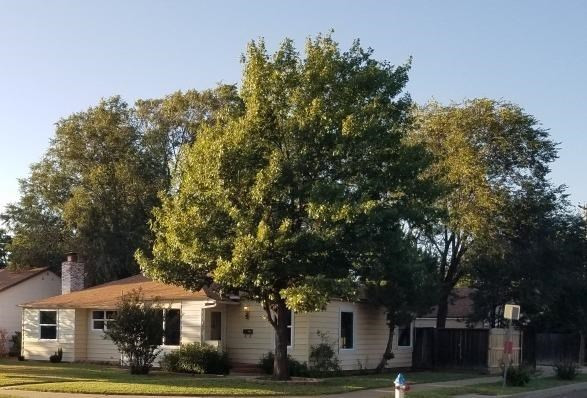 2702 30th Street Lubbock, TX 79410 - Photo 3 of 26 Photo 3