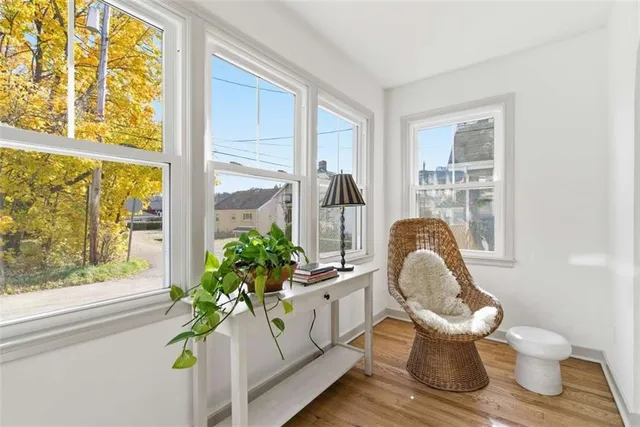 a living room filled with furniture and a potted plant