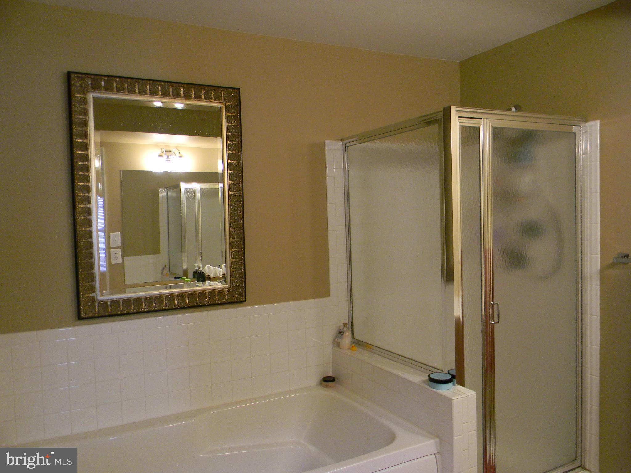 2616 Mill Race Road Frederick, MD 21701 - Photo 17 of 27 THE MASTER SUITE BATH