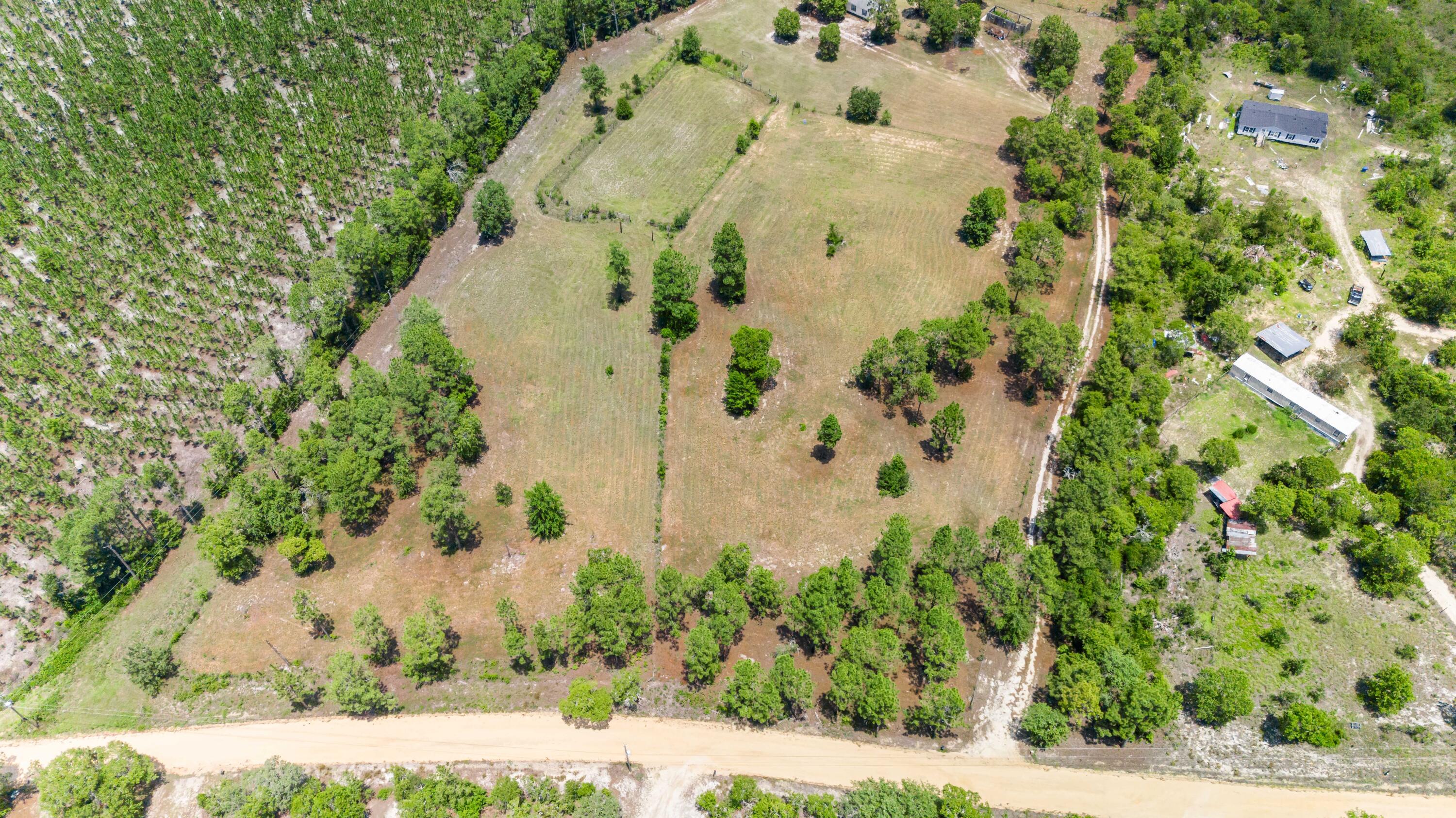 798 Big Branch Road Wagener, SC 29164 - Photo 56 of 63