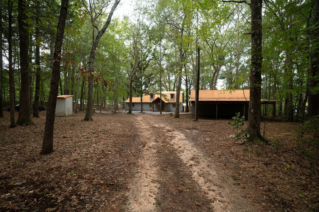 206 Hess Johnson Road Shiloh, GA 31826 - Photo 4 of 70 Gallery Image 4