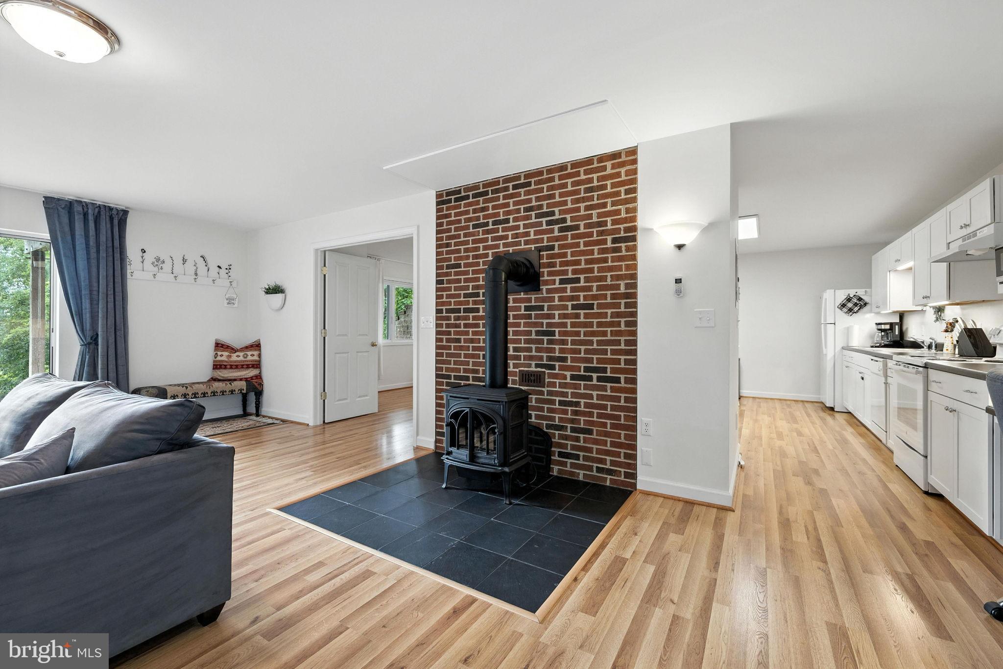 46 Rock Ridge Lane Chester Gap, VA 22623 - Photo 49 of 66 Propane fueled woodstove