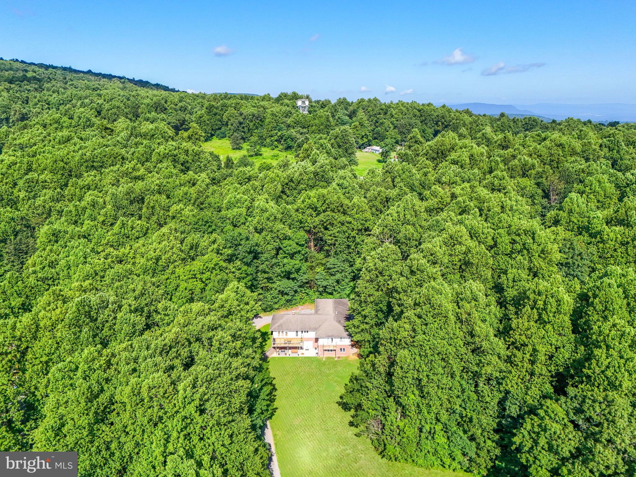 46 Rock Ridge Lane Chester Gap, VA 22623 - Photo 51 of 66 Secluded retreat