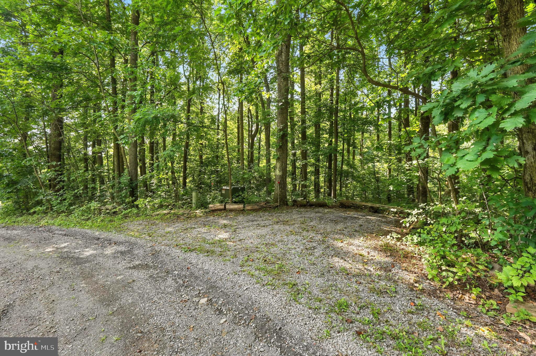 46 Rock Ridge Lane Chester Gap, VA 22623 - Photo 58 of 66 Additional parking spot on driveway