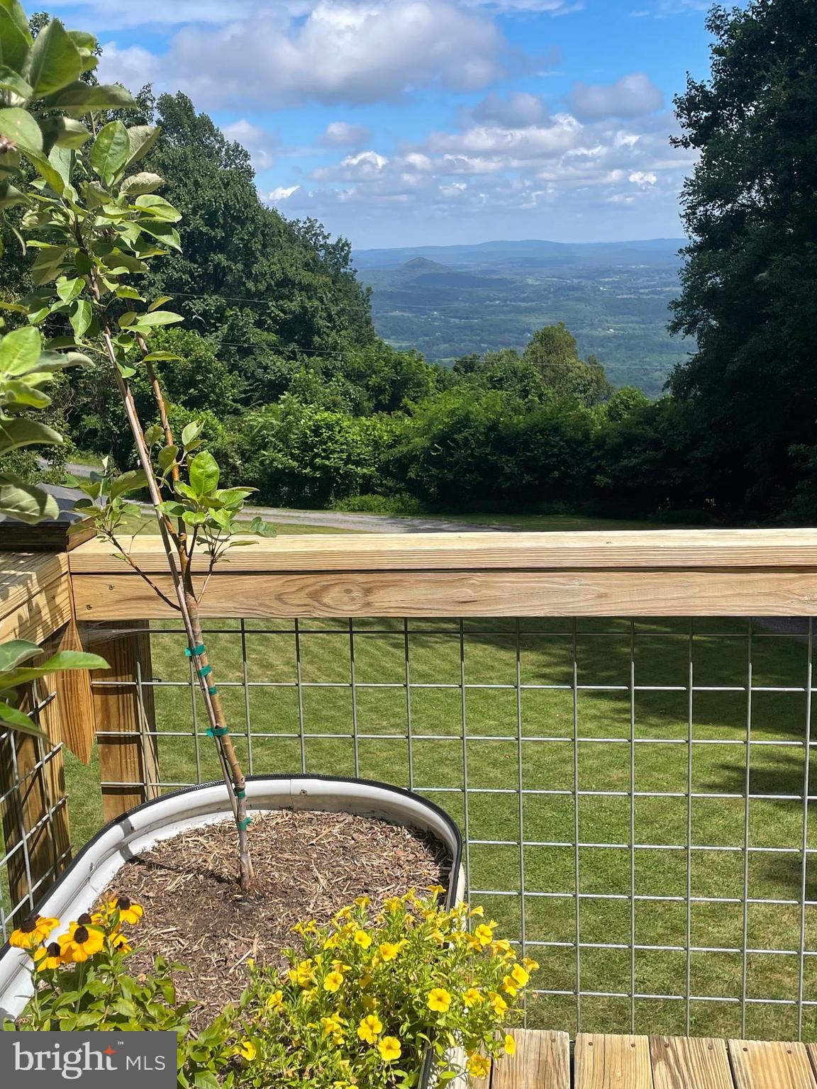 46 Rock Ridge Lane Chester Gap, VA 22623 - Photo 61 of 66 Views from the deck