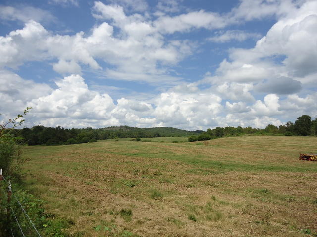 5 Cottonport Road Dayton, TN 37321 - Photo 21 of 27 17-DSC00120