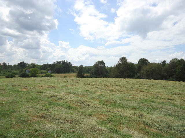 5 Cottonport Road Dayton, TN 37321 - Photo 25 of 27 21-DSC00124