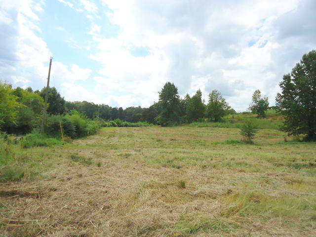 5 Cottonport Road Dayton, TN 37321 - Photo 6 of 27 01-DSC00104