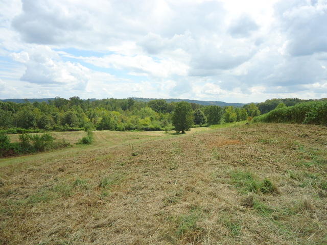5 Cottonport Road Dayton, TN 37321 - Photo 8 of 27 03-DSC00106