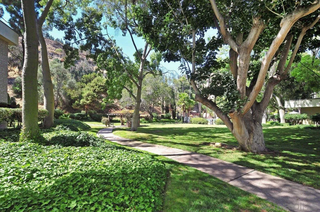 6314 Friars Road, Unit 301 San Diego, CA 92108 - Photo 29 of 31 a view of a backyard with large trees