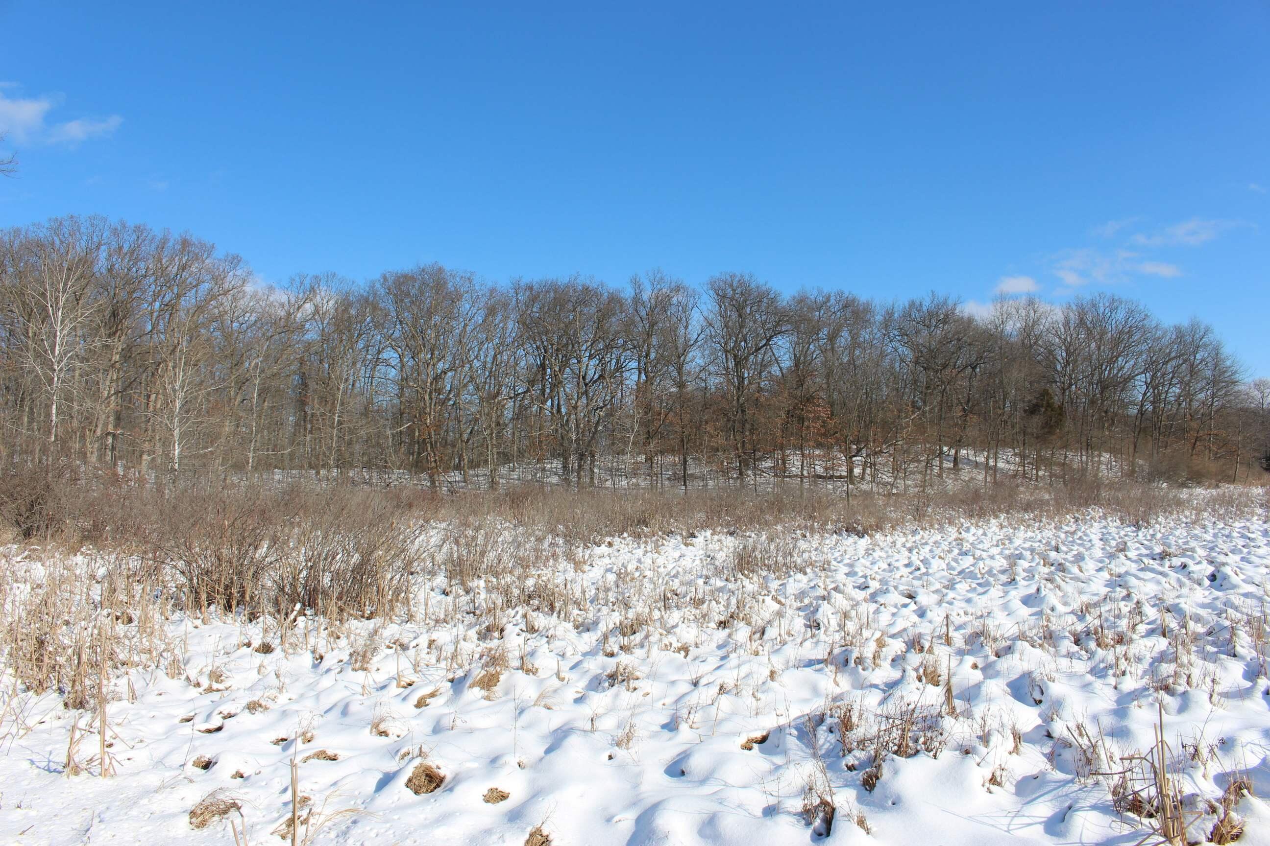 9571 Waldron Road Jerome, MI 49249 - Photo 11 of 11 IMG_5384 2