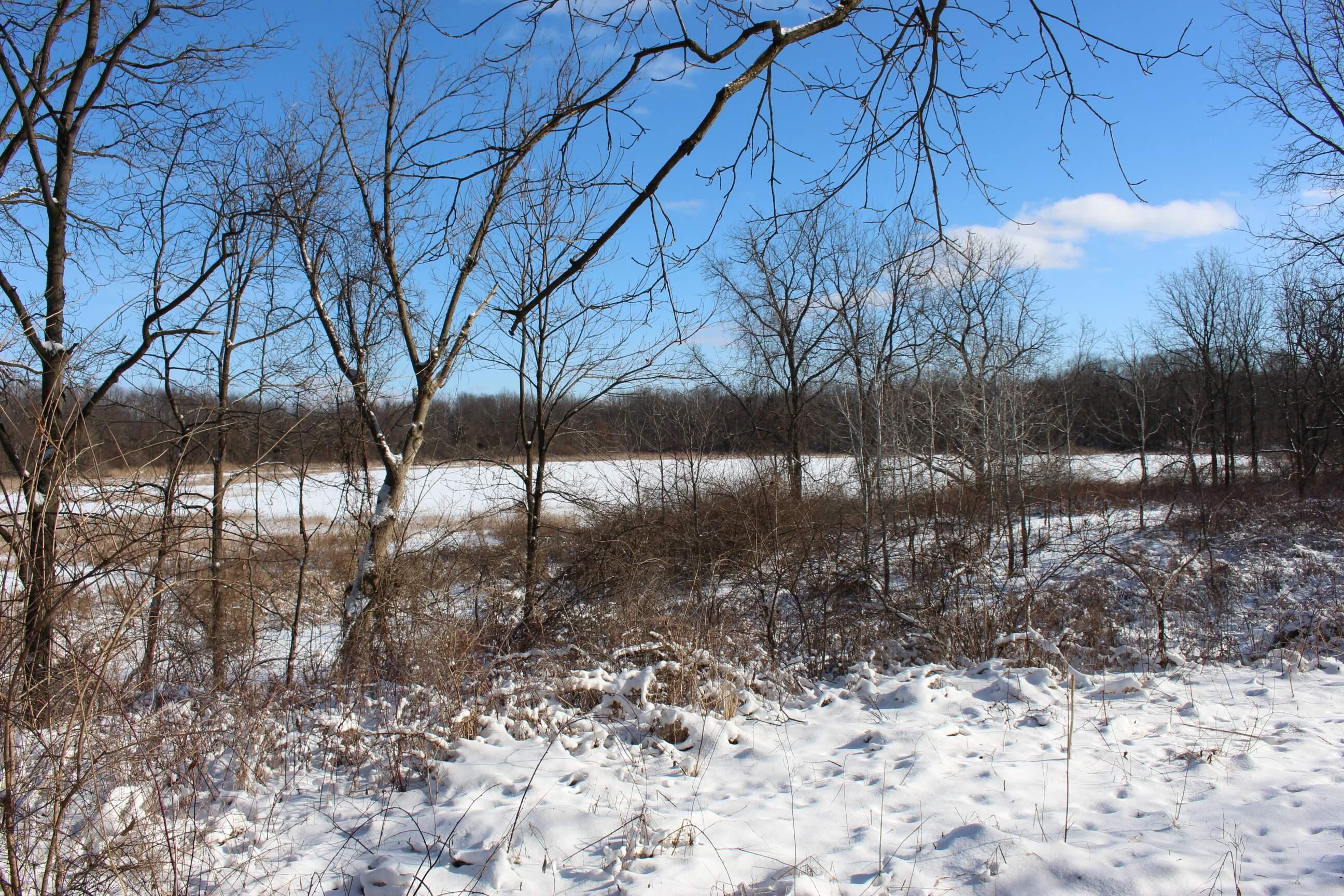 9571 Waldron Road Jerome, MI 49249 - Photo 2 of 11 Winter Image